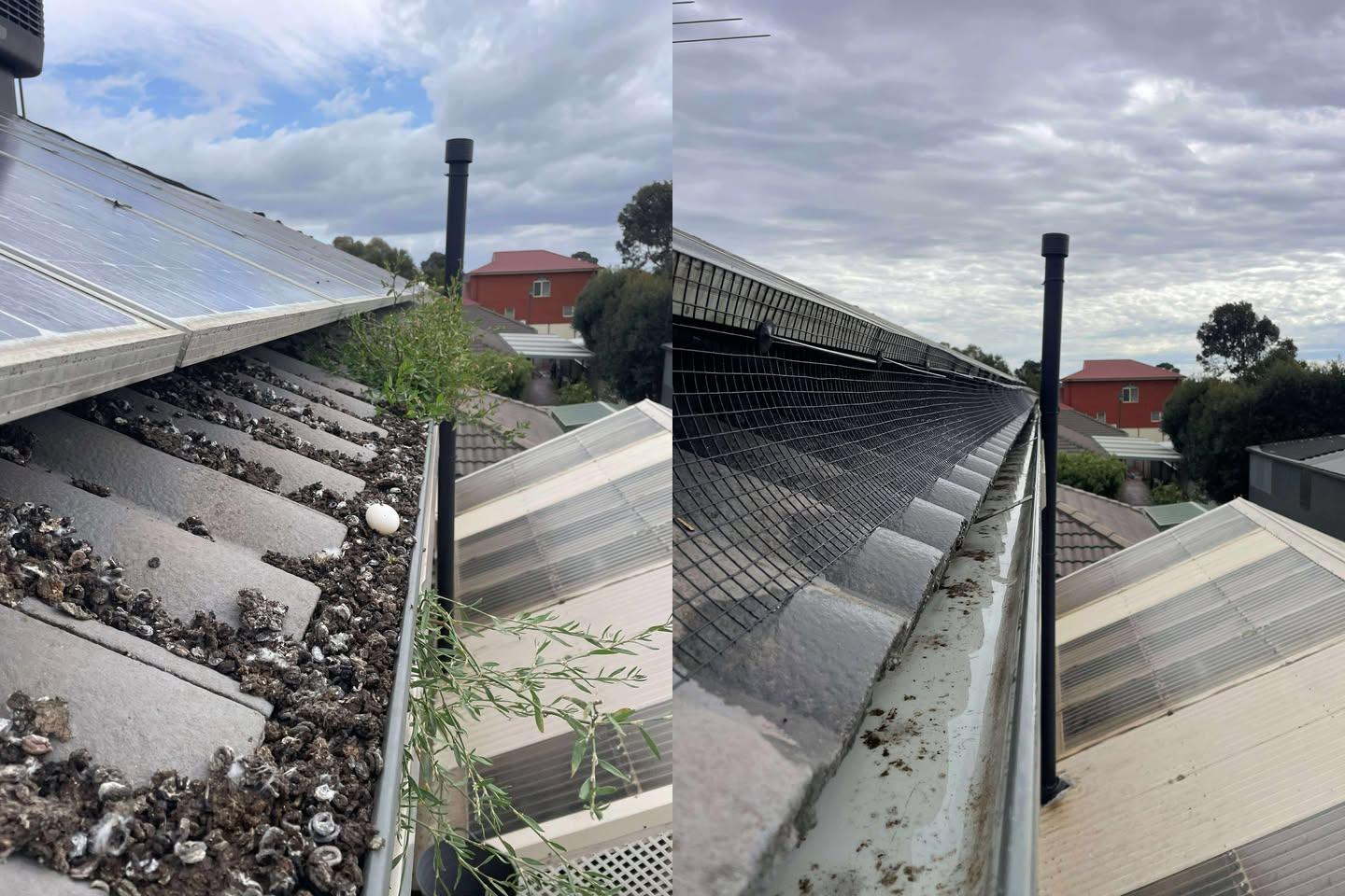 Bird Proofing and Solar Mesh