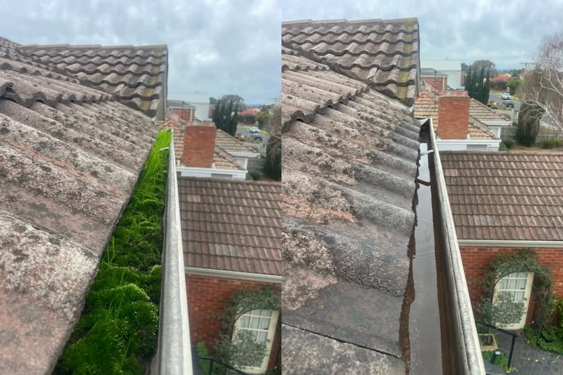 Gutter Cleaning