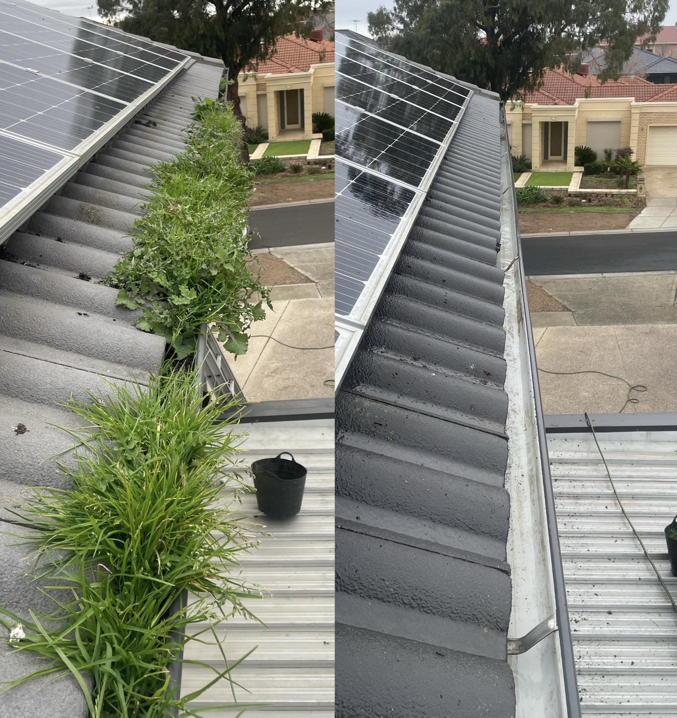 Gutter cleaning with weeds and growth cleared from roof valley